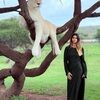 tiybamalik36